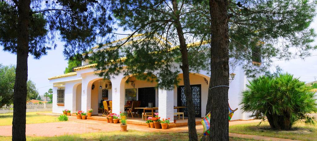 Casa Del Artista Bed & Breakfast Elche Ngoại thất bức ảnh